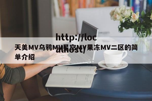 天美MV乌鸦MV星空MV果冻MV二区的简单介绍